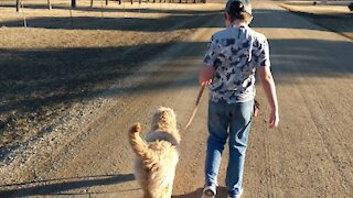 Learning to Walk with Lucy