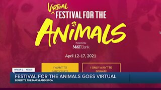 Register for the virtual Festival for the Animals to benefit the Maryland SPCA