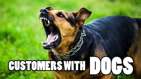 Customers With Dogs - PUT YOUR DOGS AWAY!!