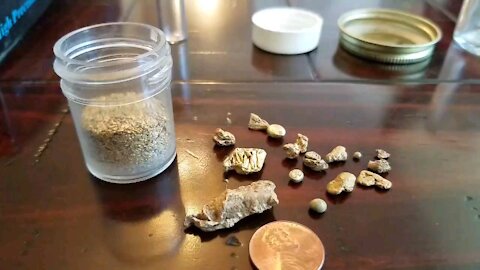 Rare Gold Nuggets And Coarse Gold Dust