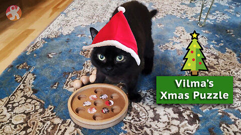 Vilma's Christmas Puzzle 2022