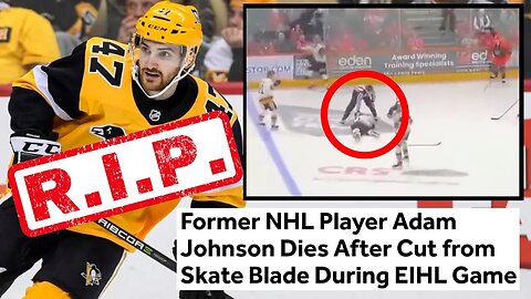 Former NHL Player Adam Johnson DIES In FREAK Accident During Game After Cut To Neck With Skate