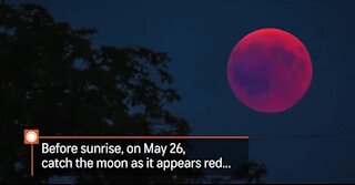 Blood Moon—May 26 2021