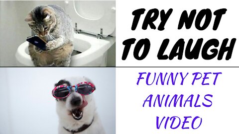 Try Not To Laugh Watching Funny Animals Video Series Part #2