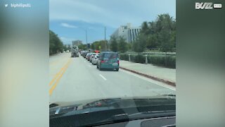 Carros formam fila gigante para testes de COVID-19 em Miami