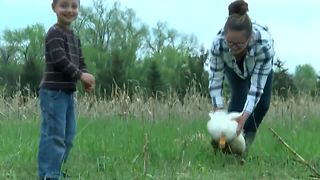 Family fighting Waukesha County over pet ducks, chickens