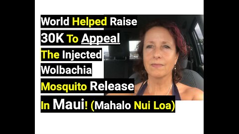 World Helped Raise 30K To Appeal The Injected Wolbachia Mosquito Release In Maui! (Mahalo Nui Loa)
