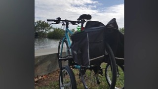 Community rallies to find woman's stolen bike