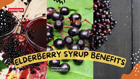 Elderberry Syrup Benefits [Elderberry Spice Syrup for Cold and Flu Prevention]