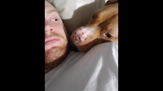 Pup has super sweet reaction every time owner kisses him