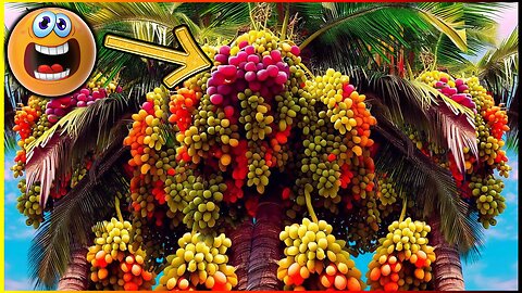 🌴🍇 Amazing Grafting Technique on Coconut Palm with Grapevine and Fertilizer with Nutrients