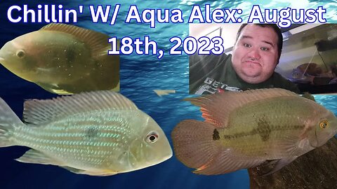 Chillin' W/ Aqua Alex Cardinale: August 18th, 2023