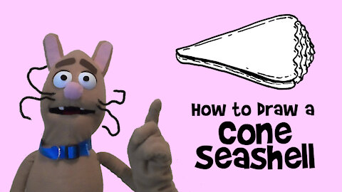 How to Draw a Cone Seashell