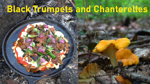 Chanterelle and Black Trumpet Mushrooms. Pizza Recipe, Identification, and poisonous look a likes.