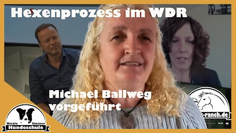 Monitor Hexenprozess gegen Michael Ballweg