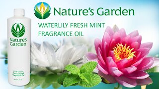 Waterlily Fresh Mint Fragrance Oil- Natures Garden