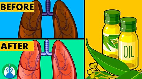 How to Cleanse Your Lungs with Eucalyptus Oil | Respiratory Therapy Zone