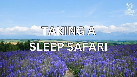 Taking A Sleep Safari // Sleep Meditation for Women