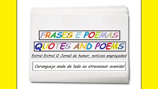 Notícias engraçadas: Caranguejo anda de lado ao atravessar avenida! [Frases e Poemas]