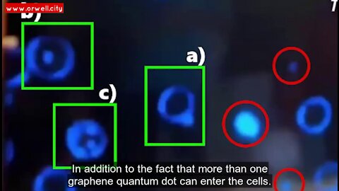 Graphene Quantum Dots can penetrate the cell barrier and affect DNA