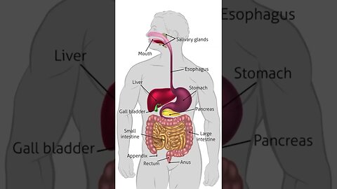 Gallbladder cancer short Urdu video