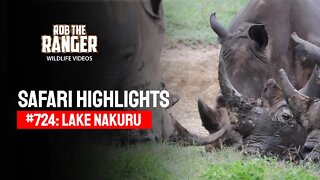 Safari Highlights #724: 9 & 10 September 2022 | Lake Nakuru/Zebra Plains | Latest Wildlife Sightings