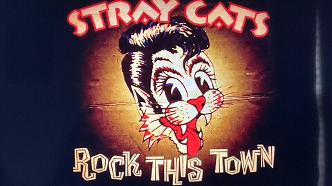 “Stray Cat Strut” - bass cover