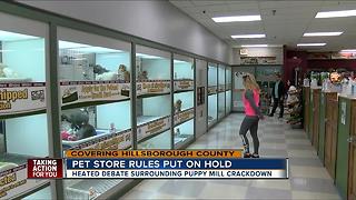 New proposed crackdown on Hillsborough County pet stores