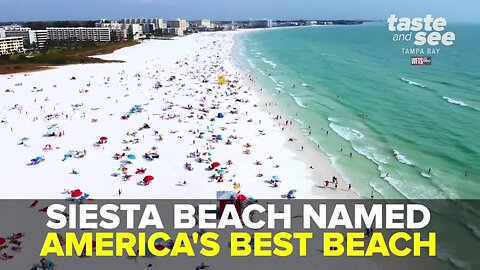 Siesta Beach named 'Best Beach in America' | Taste and See Tampa Bay