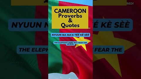 CAMEROON | Proverbs & Quotes #cameroon #proverbs #quotes