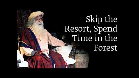 Skip the Resort, Spend Time in the Forest - Sadhguru