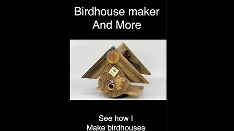 Exotic molding BIrdhouse #Shorts