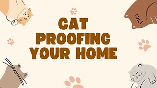 Is your home safe for your cat?