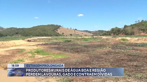 Estiagem Prolongada: Produtores Rurais de Água Boa e Região Perdem Lavouras, Gado e contraem Dívidas