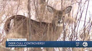 Animal rights activists, hunters opposed to controversial deer cull at Kensington Metropark