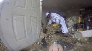 Professional exterminator tackles giant hornet's nest