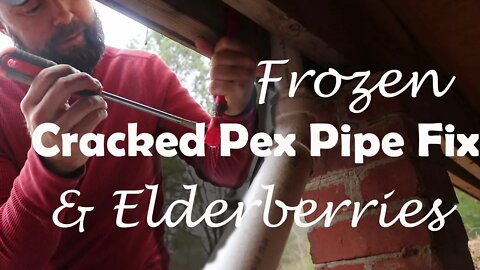 Frozen/ Cracked Pex Pipe Fix// Propagating Elderberries//Flash Back Video