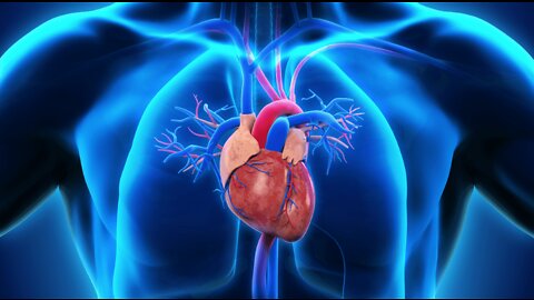 Kate Shemirani: Cardiac Symptoms, Heart Attacks & How To Maintain Good Heart Health