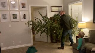 Finding our own Christmas Tree