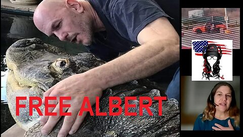 Free Albert the Alligator, Child abuse whistleblower Jamie Reed, black youth carjackers in NJ