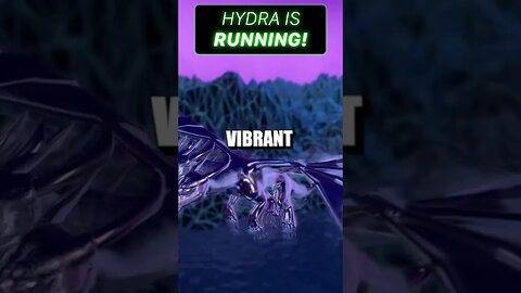 Cardano HYDRA is Running Now!