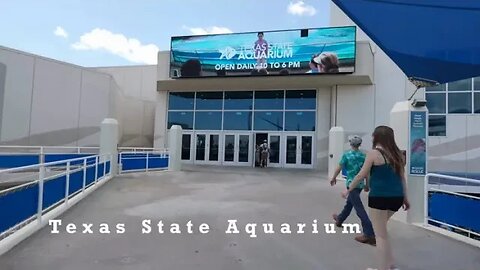 Texas State Aquarium Gulf of Mexico