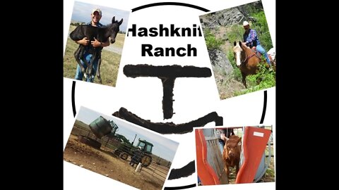 Favorite Season on the Ranch - Ag Shorts