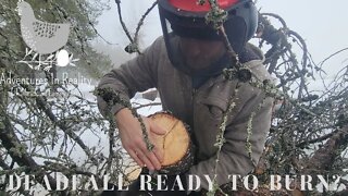 How Wet is Deadfall? | Adventures In Reality