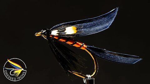 Tying the Lord Baltimore - Dressed Irons