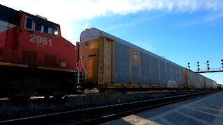 Eastbound CN 2883 & CN 2981 Locomotives Manifest Train In Ontario