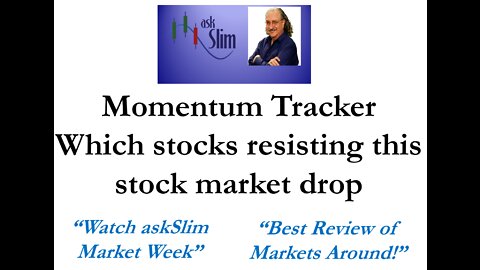 askSlim Momentum Tracker - Stocks Resisting Market Drop