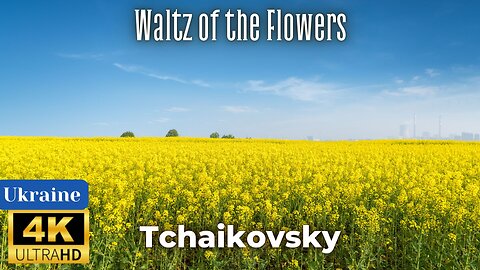 Tchaikovsky - Waltz of the Flowers (4K)