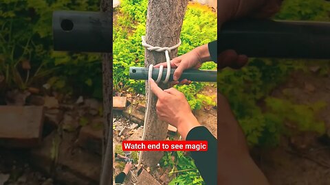 watch end to see magic #trending #viral #follow #fyp #foryou #chinese #smart