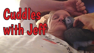 Affectionate parrot enjoys cuddle time with owner